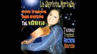 Gaviota Norteña - Tus desprecios