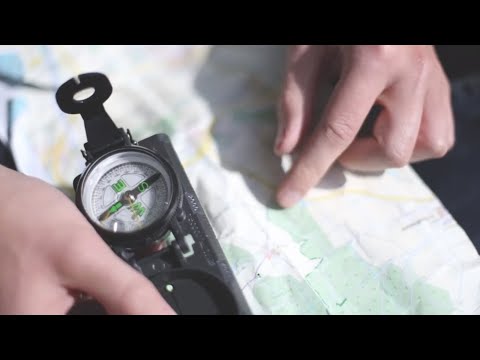 Wir behandeln die Nägel von der Schuppenflechte Atopitscheski die Hautentzündung bei den Kindern als zu schmieren wenn sich kratzt