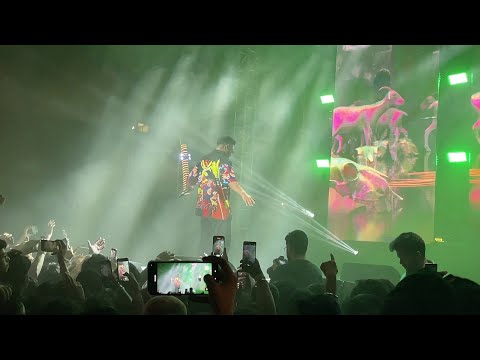 @raftaarmusic x @KRSNAOfficial DELHI SHOW 2023 | BLACK SHEEP | LIVE