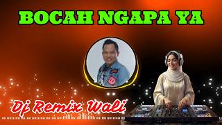 Download lagu Bocah Ngapa Yak Dj Remix Wali mp3