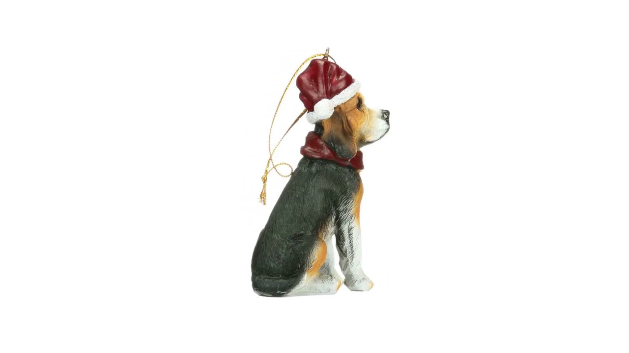 Beagle Holiday Dog Ornament Pet Decoration Video