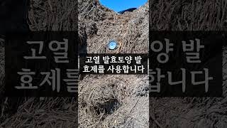 농사의 병은 결과이다.[이장집 에너지 농법]      #자연순환농법