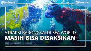 Atraksi Barongsai Dalam Air di Sea World Masih Bisa Disaksikan Hingga Akhir Bulan