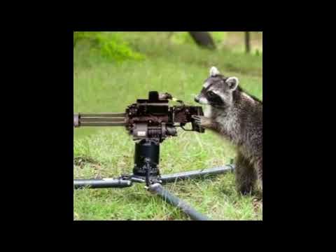 NZED - U NVR KNOW [PROD. CST37]