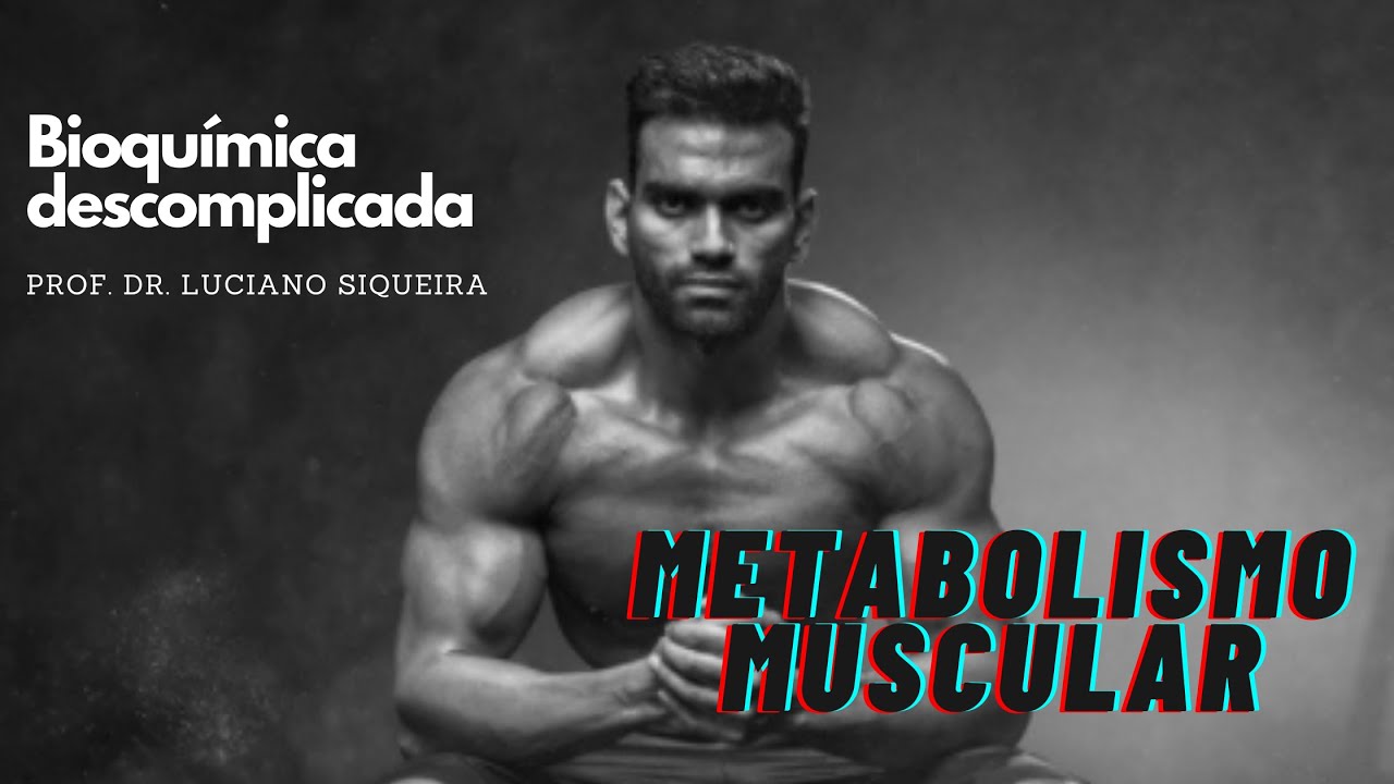7 - Bioquimica descomplicada - Metabolismo muscular