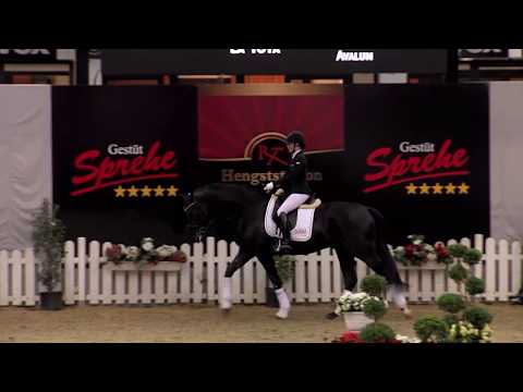 MARC CAIN - www.gestuet-sprehe.de