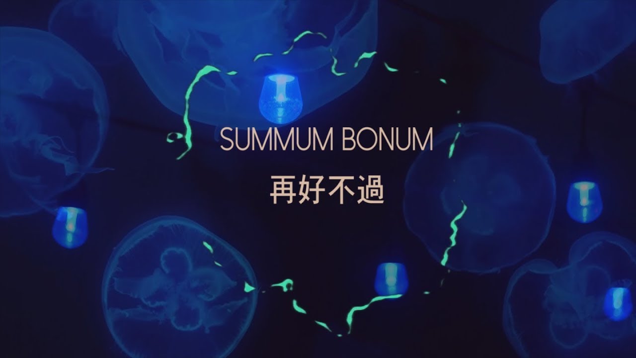 落日飛車 Sunset Rollercoaster - Summum Bonum (Lyric Video)