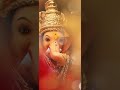 JAGNYACHE DEVA WHATSAPP STATUS
