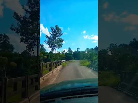 estrada do Salto São Jerônimo da Serra PR#interiordoPR#shortsvideo