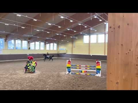 Vivaldi 110cm LFK 20/2-22