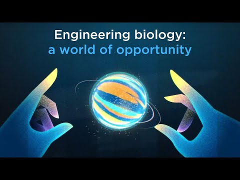 Engineering Biology Opportunities | 2D Animation Explainer | CSIRO