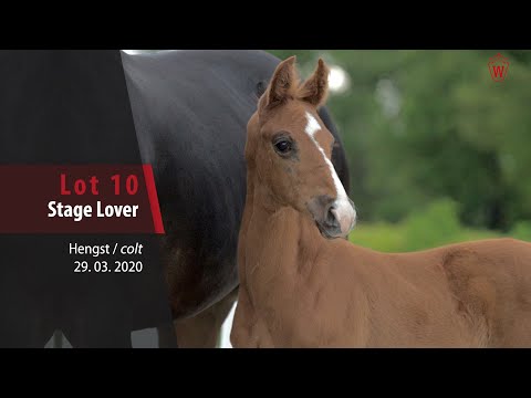 10 Stage Lover Hengst v. Sir Heinrich - Rock Forever