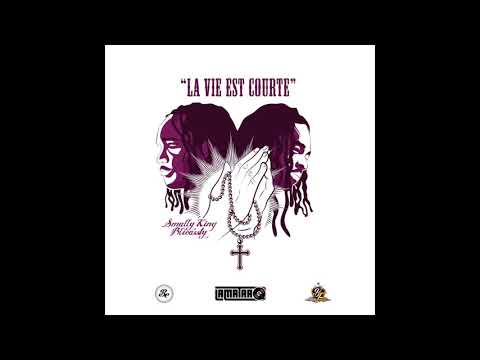Smally King ft Blicassty - La Vie Est Courte - [ Prod by Didick Instrumental ]