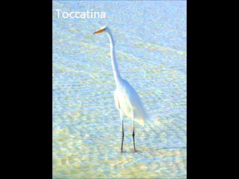 Imre Mező: Toccatina