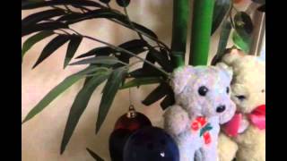 Jason mraz - i don&#39;t miss you