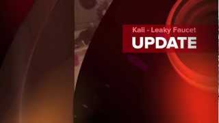 Kali's Debut Video
