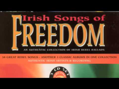 Boys Of The Old Brigade - The Barleycorn