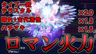 タイプ一致テラスタル晴れ古代活性ハチマキ逆鱗～コータストドロクツキ【ポケモンSV】
