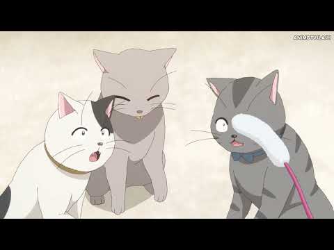 Komi Goes To Cate Cafe | Komi Likes Black Cats | Komi San Has weird Aura | Tadano Regrets