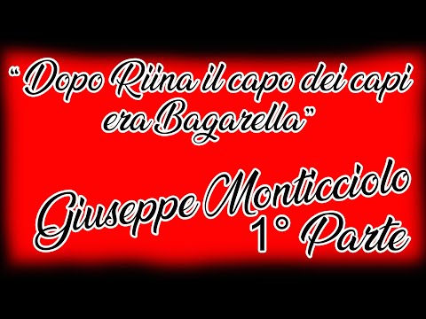 86) Dopo Riina il capo dei capi era Bagarella Giuseppe Monticciolo 1 prt. trattativa stato mafia
