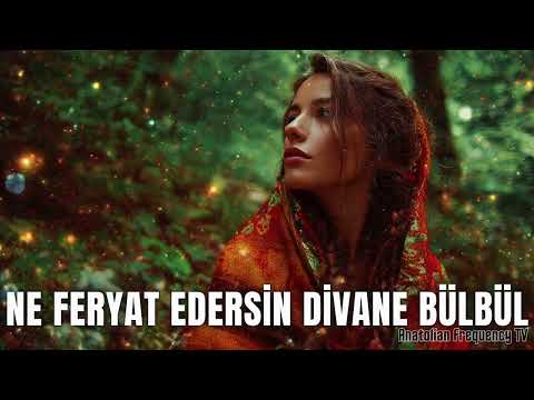 Ne Feryat Edersin Divane Bülbül - Herkesi Ağlatan O Türkü | Anatolian Frequency TV