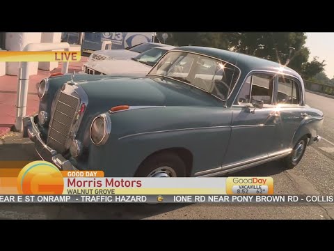 Thumbnail for Morris Motors! by Morris Motors