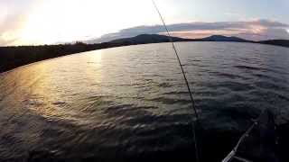 preview picture of video 'Fly Fishing Parlin Pond, Maine with my wife in a canoe at sunset!'