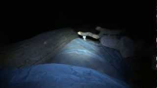 A Perfect moment with the Beach Boys