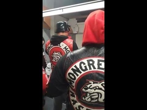 MONGREL MOB HASTINGS/ KOKE DOGG