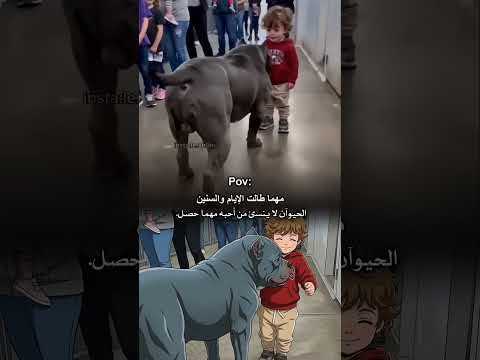 الطفل أنقذه مره اخري.   الإنسانية!!!