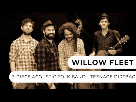 Willow Fleet - Teenage Dirtbag