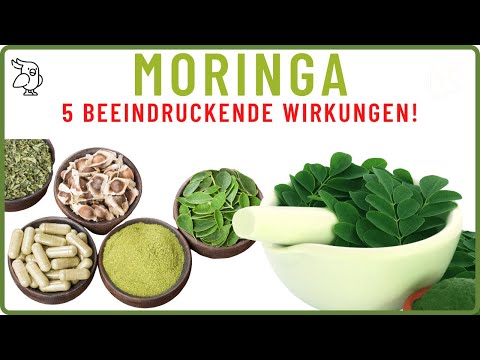 ✅5 BEEINDRUCKENDE WIRKUNGEN VON MORINGA✅ die du kennen solltest!