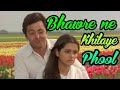 Bhawaren Ne Khilaya Phool Eagle Jhankar Prem Rog Suresh Wadkar Lata Mangeshkar Geet Mahal