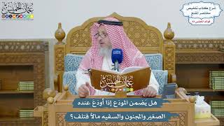 4293 - هل يَضمن المودَع إذا أودَعَ عنده الصغير والمجنون والسفيه مالاً فتلف؟ - عثمان الخميس