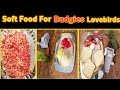Soft Food For Budgies Lovebirds How To Make A Soft Food Hindi Urdu