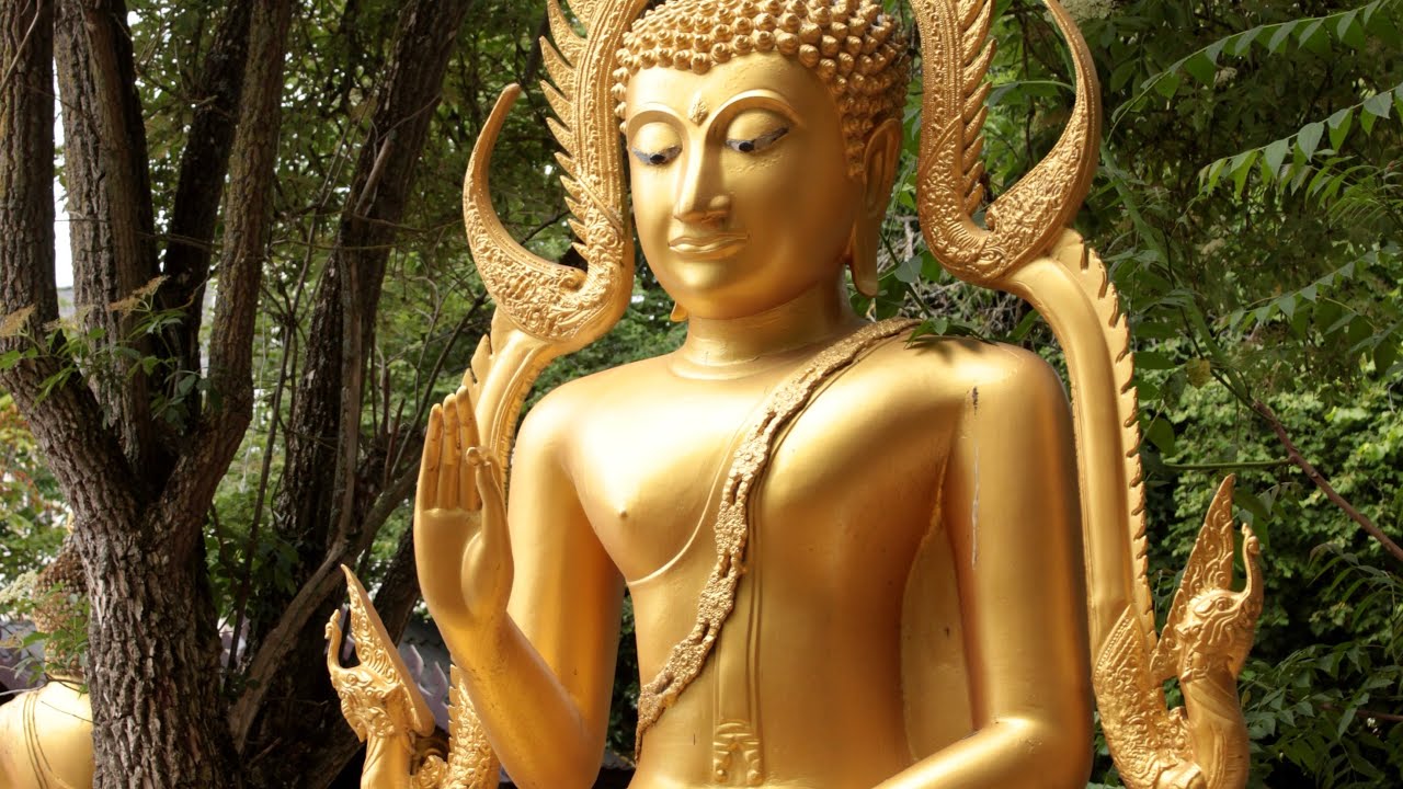 Gilberto Espino G.-35