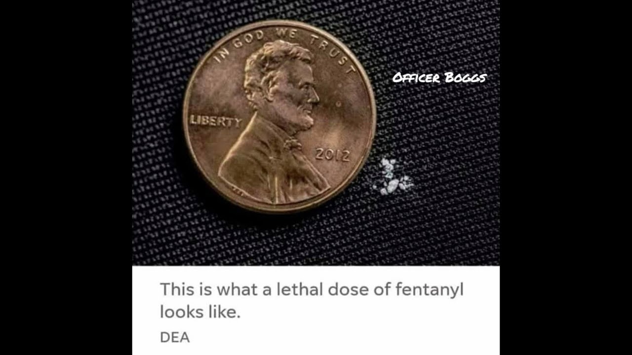 This is what a lethal dose of fentanyl looks like.