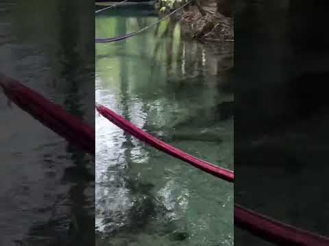 ecocentro yaliha raxruhá Alta verapaz