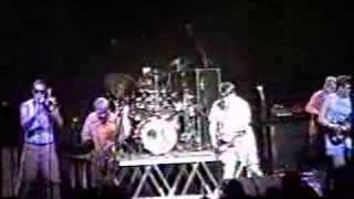 Skankin Pickle - Hussein Skank