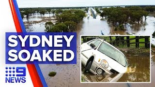 Sydney lashed with torrential rain, floods, winds | Nine News Australia