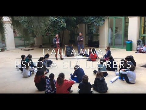 Vídeo Colegio Els Llorers