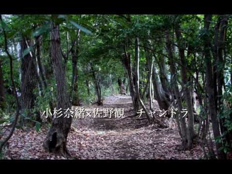 小杉奈緒 × 佐野観 - チャンドラ