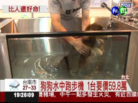 台北寵物用品展 狗狗大駕光臨