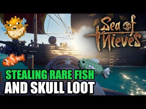 Hiding & Stealing From Salty Pirates - Sea of Thieves