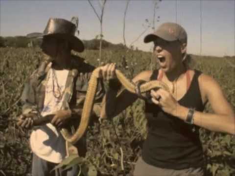 Bolivian Amazon Travel Video in Las Pampas Tour