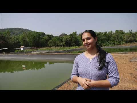 An Innovator -  Ms. Anitha Mathew Vallikkappen