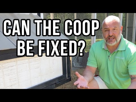 , title : 'Can This Chicken Coop Be Fixed?  Pittsboro NC - Part 1'