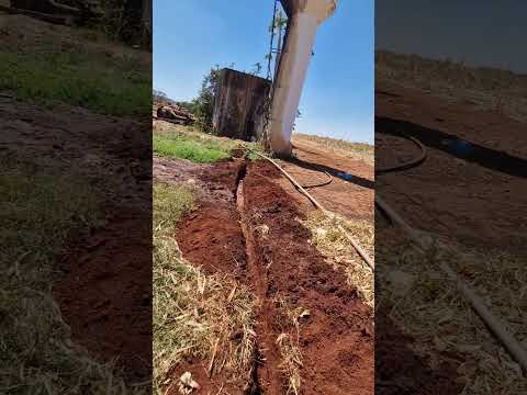 15 de março de 2026