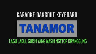 Download lagu TANAMOR-                         Karaoke dangdut || keyboard 2019 mp3