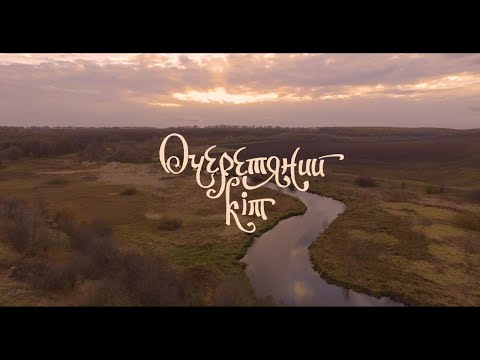 Очеретяний кіт - Буряки (Official Video)